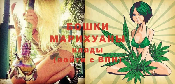 трава Аркадак