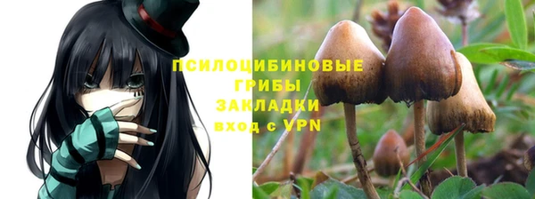 мескалин Баксан