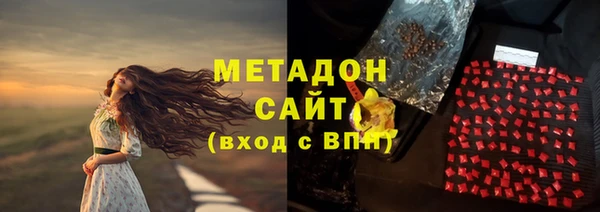 прущие грибы Армянск