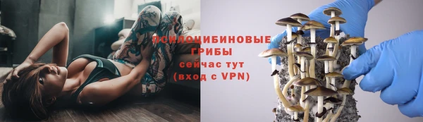 трава Аркадак