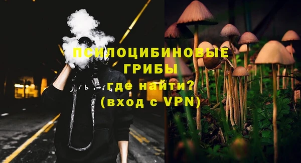 прущие грибы Армянск